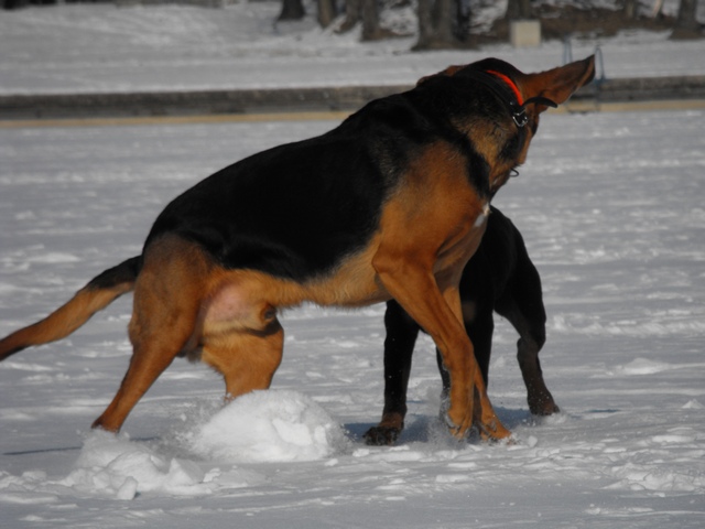 DSCF5009.JPG