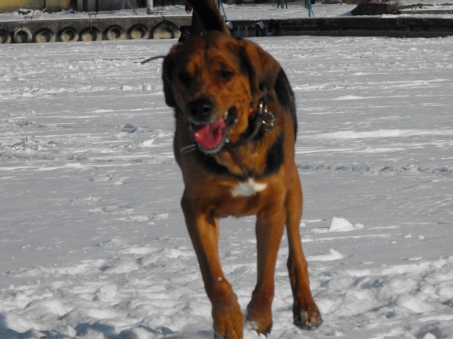 DSCF5011.JPG