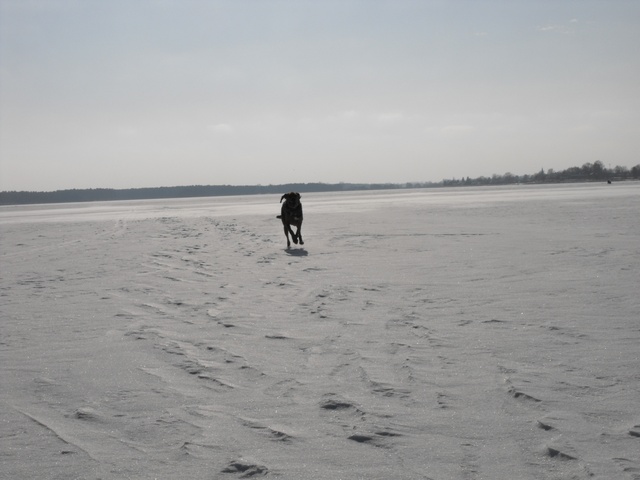 DSCF5014.JPG