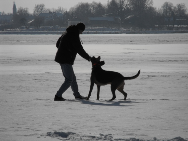 DSCF5021.JPG