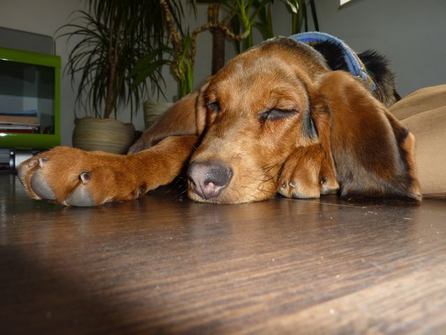 P1010752.jpg
