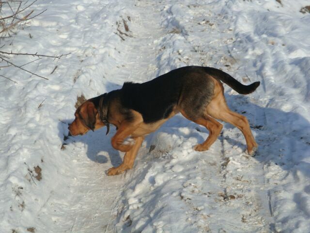DSC02830a.jpg