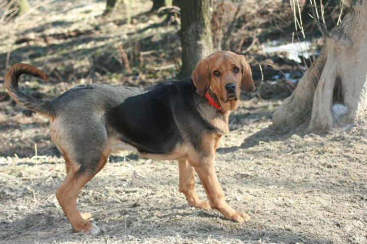 luty 2011 235.jpg