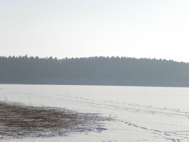... i z tego samego miejsca. W tych drzewach kryje się całkiem niezła(podobno) zagroda z dzikami