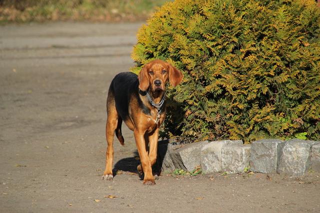 Obraz 567_resize.jpg