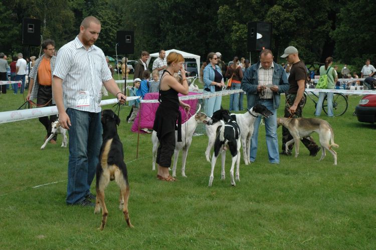 wierklaniec (33).jpg