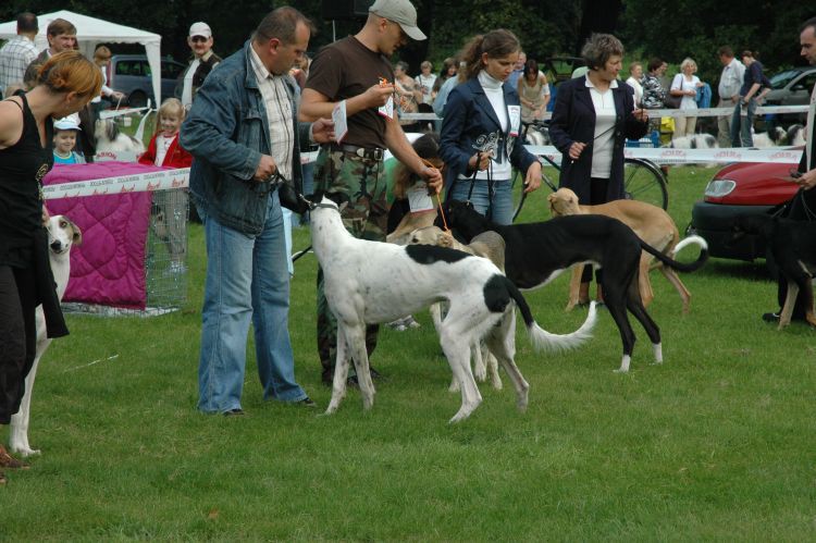 wierklaniec (34).jpg