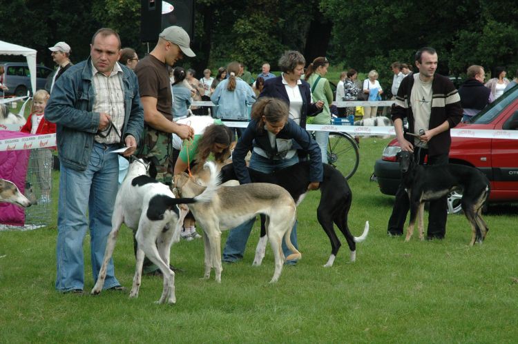 wierklaniec (35).jpg