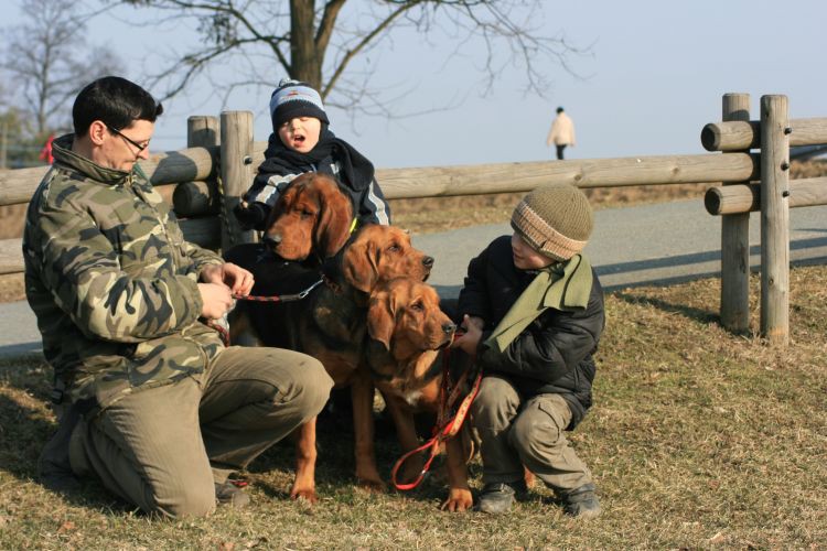 luty 2011 275.jpg