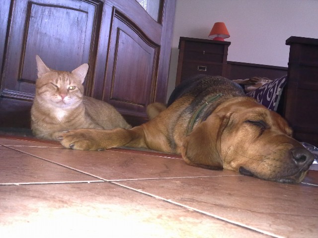01032011142.jpg