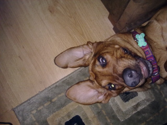 14022011119.jpg