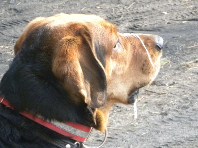 Obraz 046.jpg