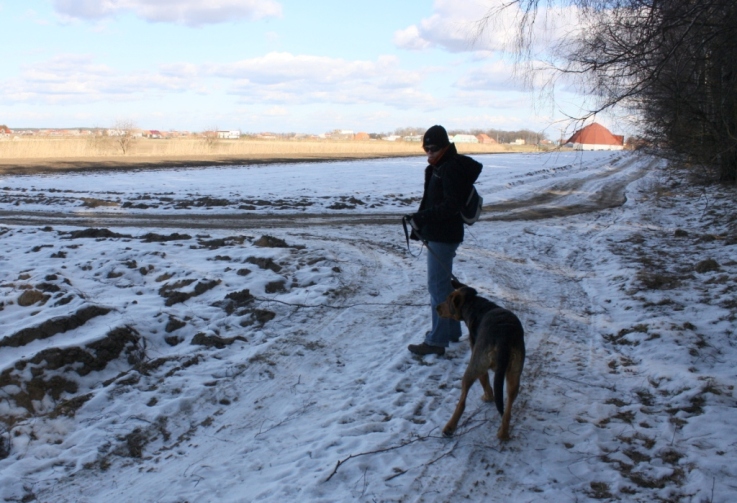 Nadciągają... biegną prosto na nas... ale stoję dzielnie!