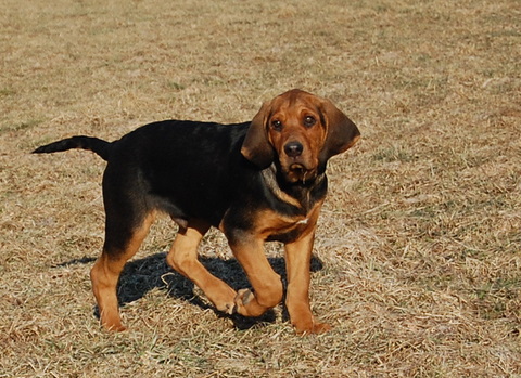 DSC_2559.JPG