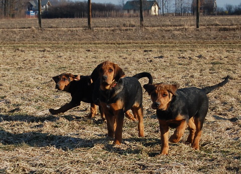DSC_2561.JPG