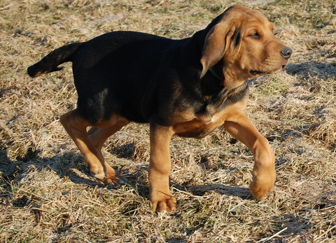 DSC_2581.JPG