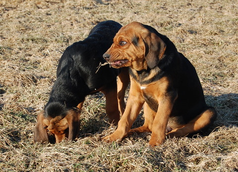 DSC_2610.JPG