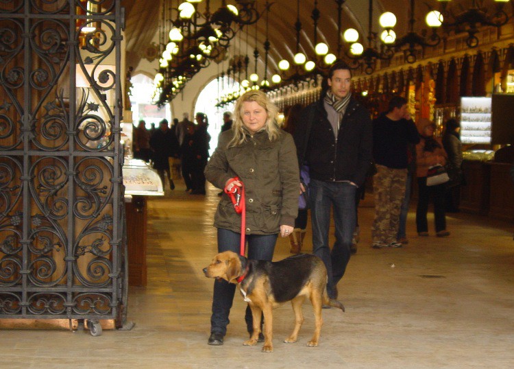 Sukiennice marzec 2011.jpg