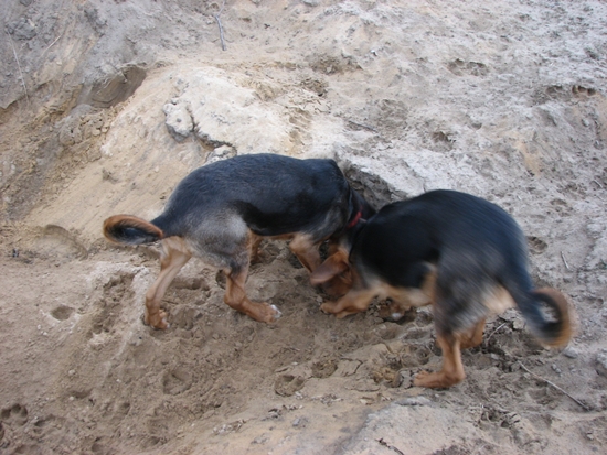 Zima 2010_11_9.jpg