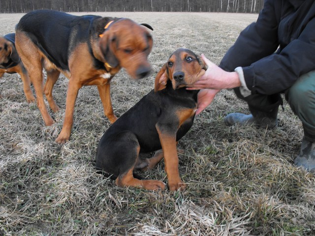 DSCF5016.JPG