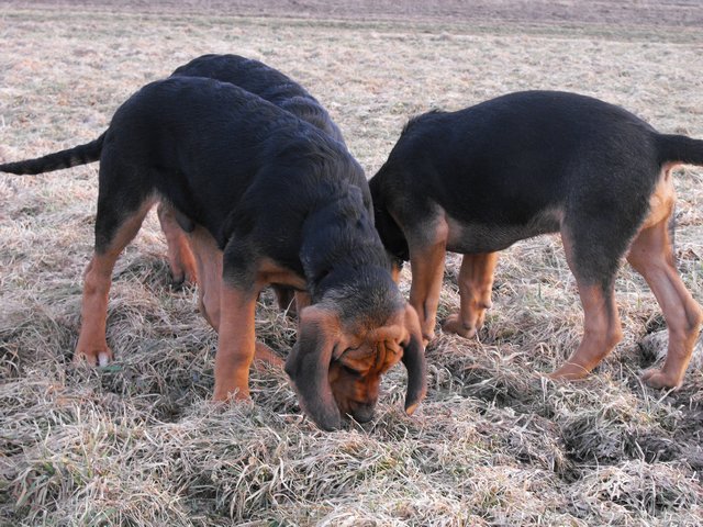 DSCF5028.JPG