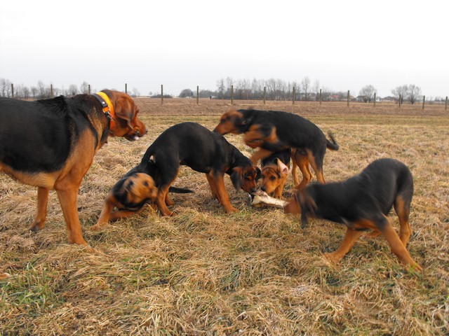 DSCF5034.JPG
