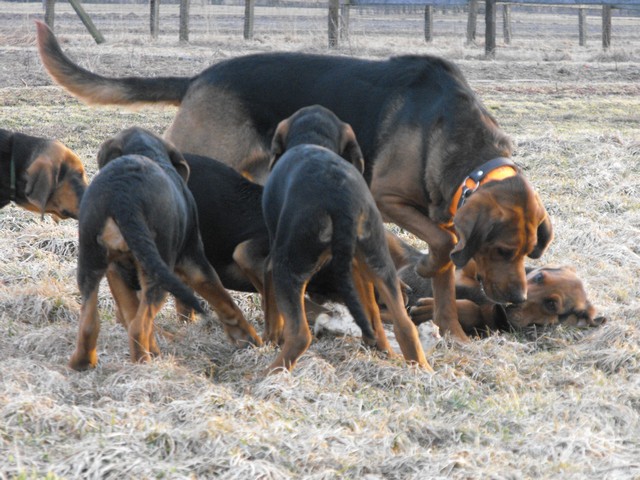 DSCF5039.JPG