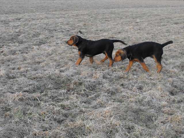 DSCF5046.JPG