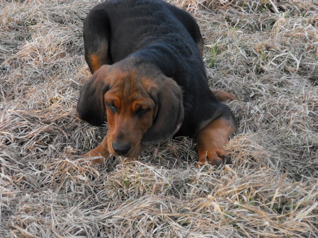 DSCF5047.JPG