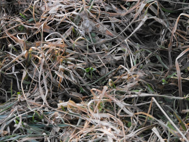 DSCF5049.JPG