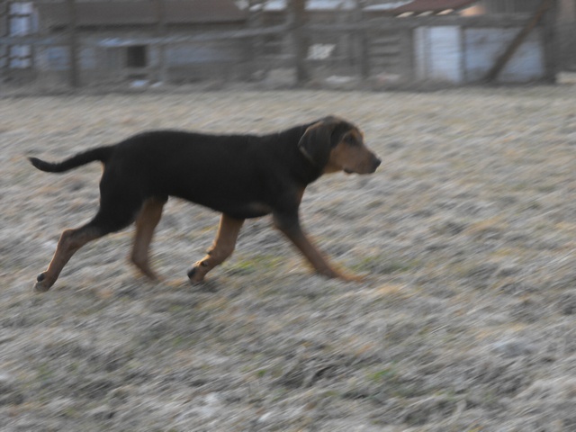 DSCF5053.JPG