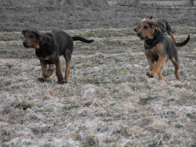 DSCF5059.JPG