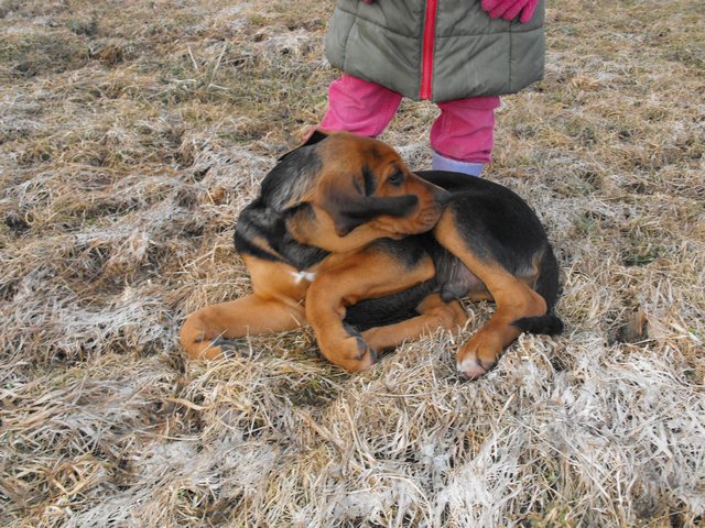 DSCF5069.JPG