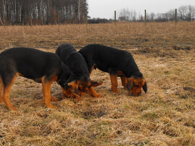 DSCF5077.JPG