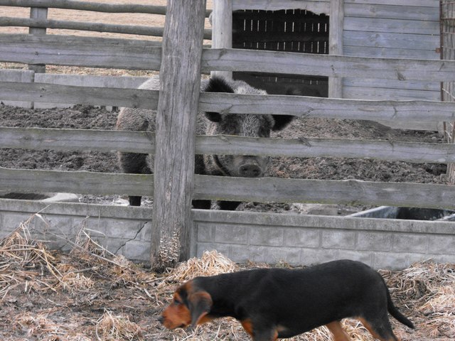 DSCF5082.JPG