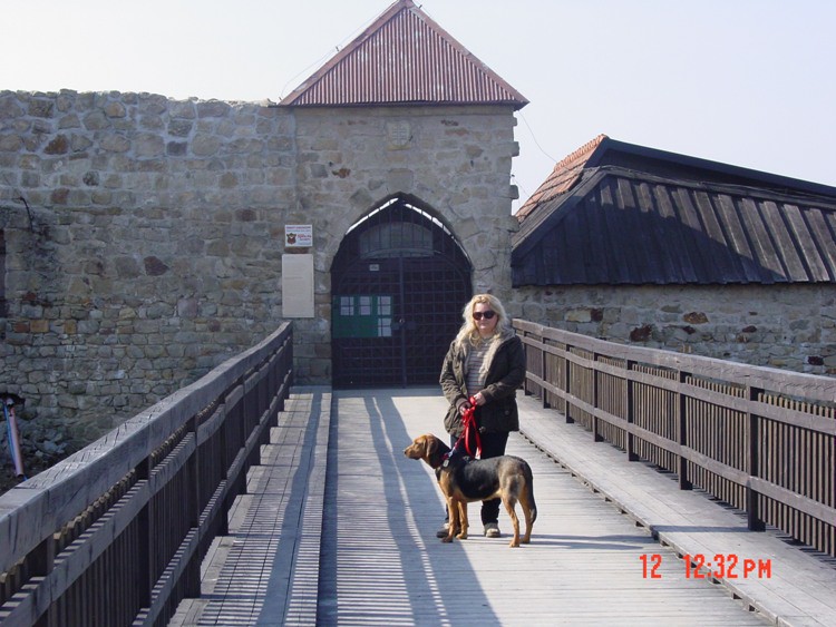 Zamek w Dobczycach.jpg