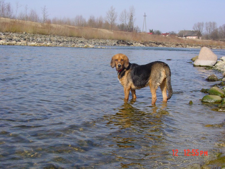Poza.jpg