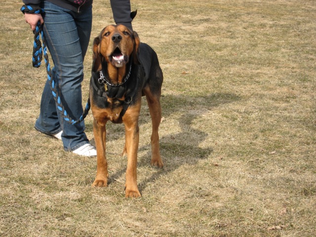 Nero mowi co mysli ;)