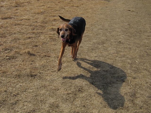 IMG_8456.JPG