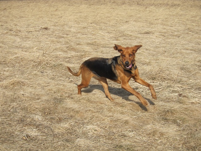 Minuta