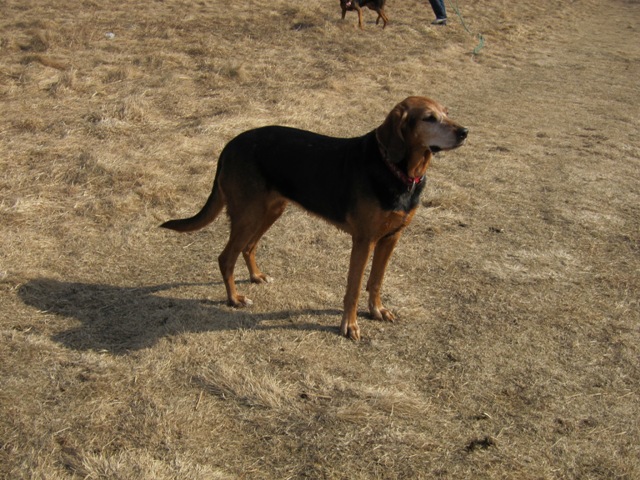 Kwadra