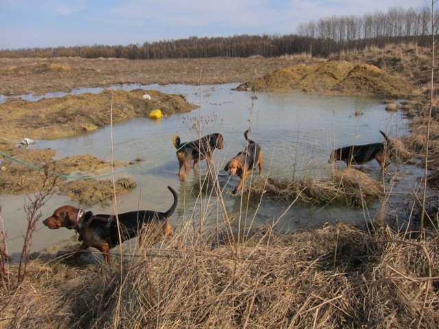 sekcja wodna