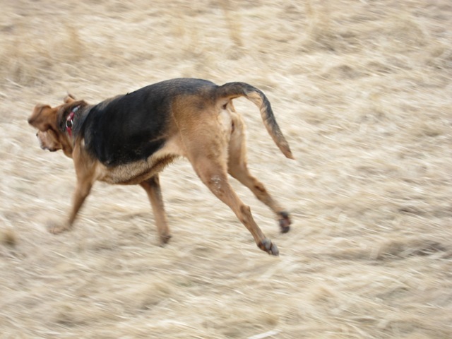 IMG_8542.JPG