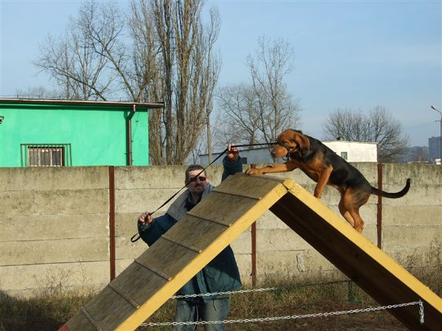 DSCF0537.jpg