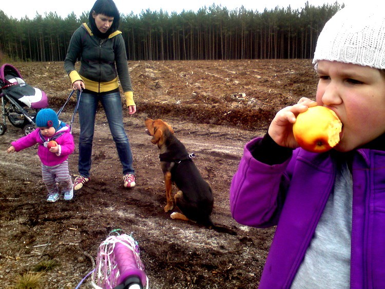 Lena na smczy, Pola na rowerze :) a Rosa wolna, ale pięknie siada jak pani prosi :)