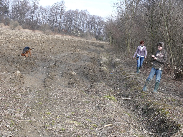 Idą. To ja sprawdzę, co jest pod ziemią.