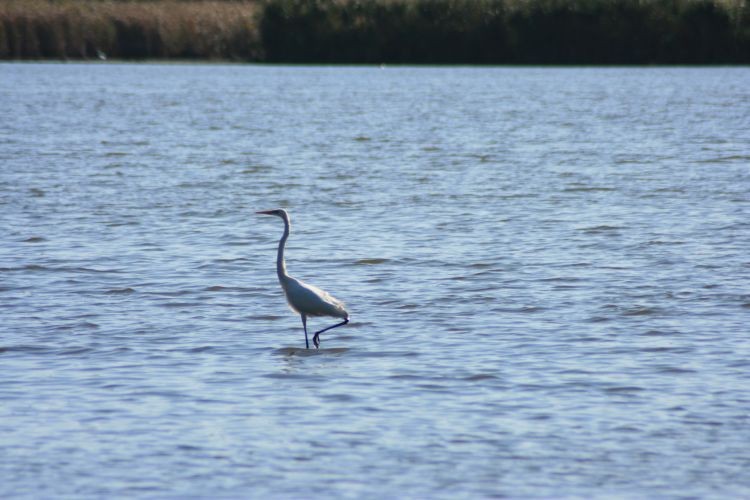 wołów 2008 205.jpg