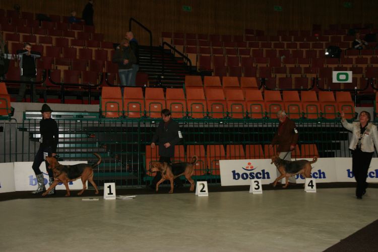 Championki biegają.