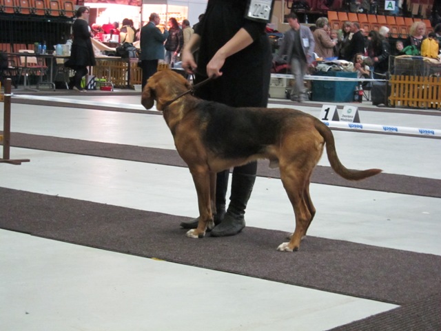 IMG_8563.JPG
