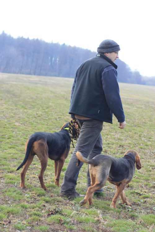 Było ich trzech w każdym z nich inna krew, ale jeden przyświecał im cel.....